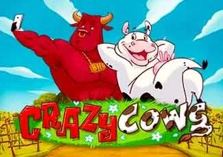 Crazy Cows game icon